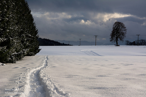 Making Tracks in Pilsbach 1