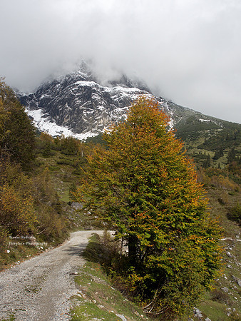 Stegmoosalm