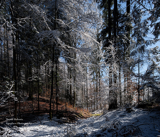 Winter makes a guest appearance in Pilsbach 3