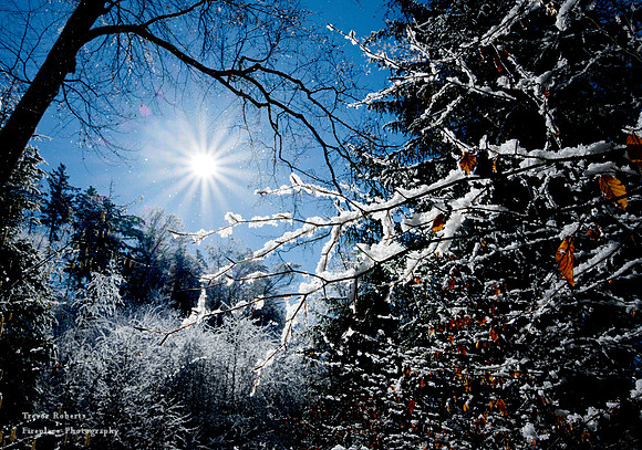 Winter makes a guest appearance in Pilsbach 2