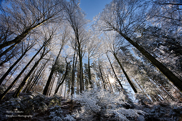 Winter makes a guest appearance in Pilsbach 5