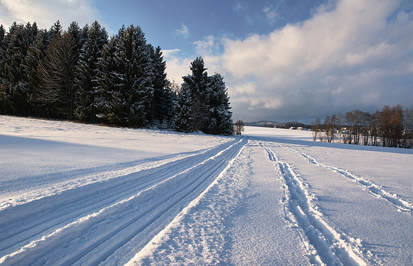 Making Tracks in Pilsbach 1