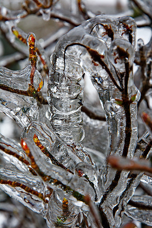 Ice encapsulating everything