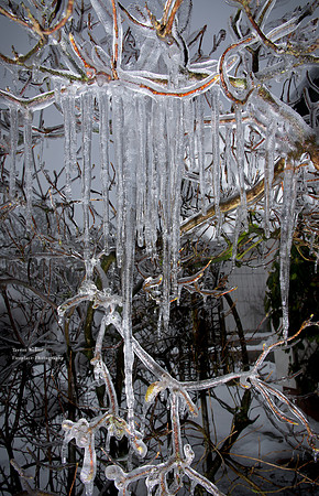 ICE