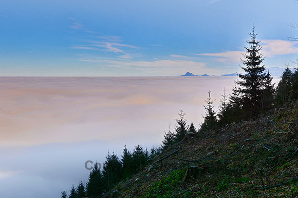 Nebelpracht von oben