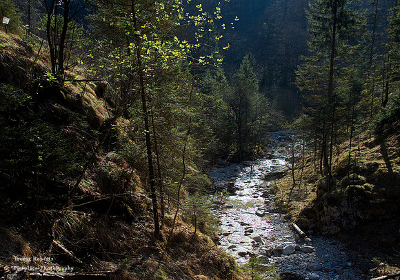Wasser im Licht