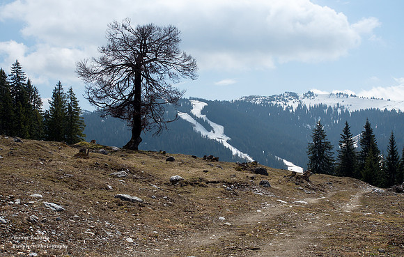 From Filzenkapelle to Erichhütte