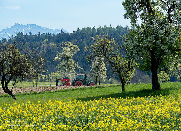 Lots of work at Spring time in Pilsbach- Hohenweg