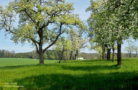 Hohenweg Pilsbach 1. Mai