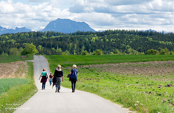 "Freichlicht Galerie" along the Hohenweg. Taken on the opening day of the second exhibition 8