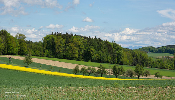 "Freichlicht Galerie" along the Hohenweg. Taken on the opening day of the second exhibition 10