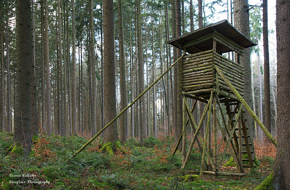 Hunter's stand