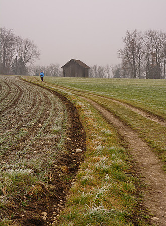 Field curvature