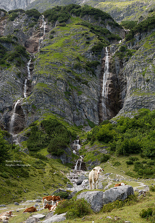 "You shall not pass!" Riedinger Waterfalls Aug 2017