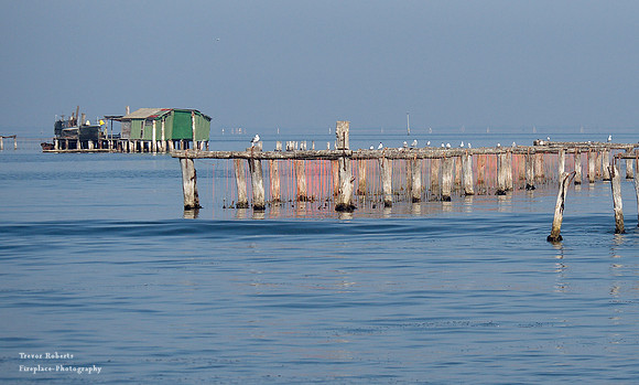 The lagoon, on the way to Venice  5