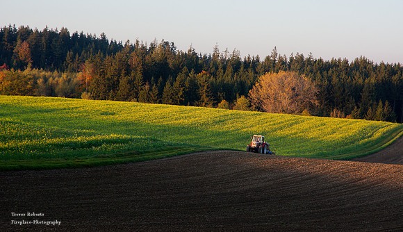 Abendlicht und Feldarbeit auf den Hohenweg Pilsbach