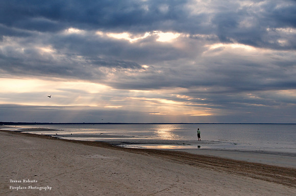 Sun Rays on the beach