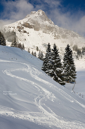 Tracks down from the top