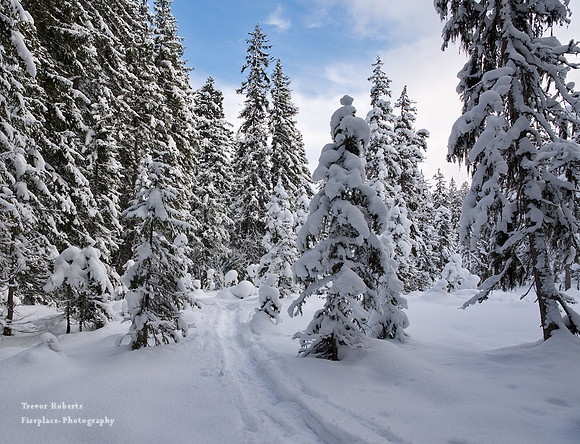 Snow shoe walk in Dienten