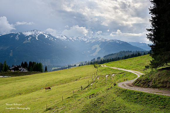 Mitterfeldalm: August 2022