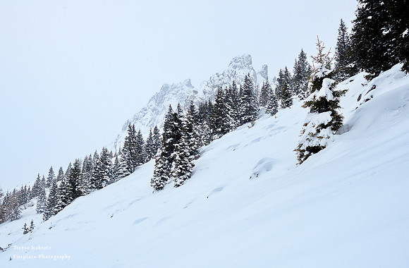 along the steep slopes to Mitterfeldalm