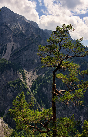 Schneiderberg near Almsee