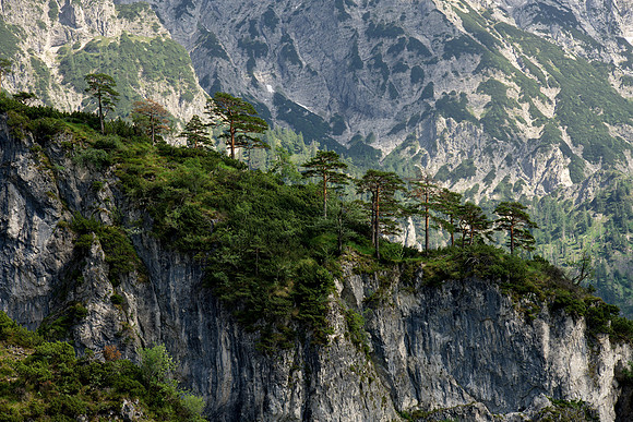 Schneiderberg near Almsee