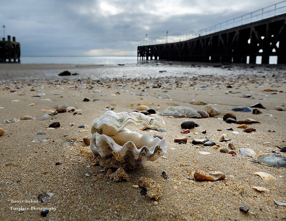 East Beach - Unexploded shell by Barge pier
