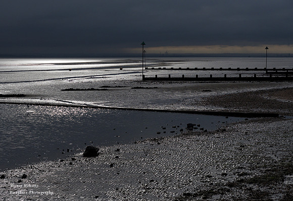 East Beach -beautiful light on the mudflats