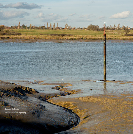 Wallasea Island