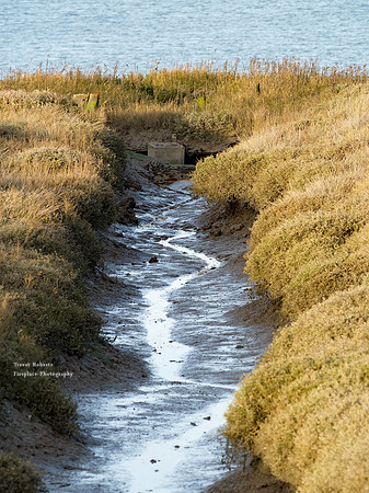 Wallasea Island