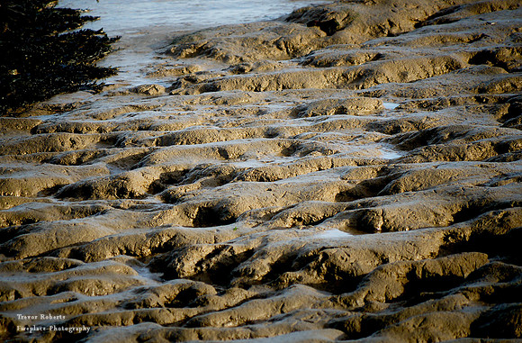 Wallasea Island