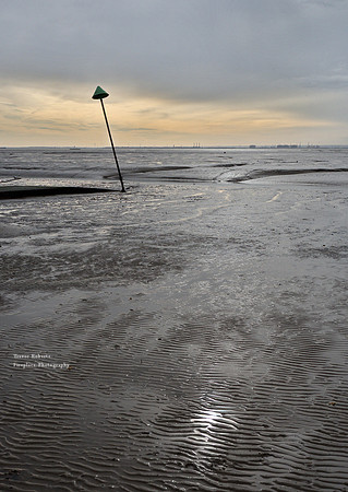 Chalkwell to Leigh- evening mudflats 3