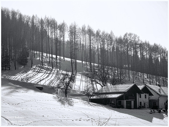 Gmundnerberg March 2018. Snowy slopes B&W