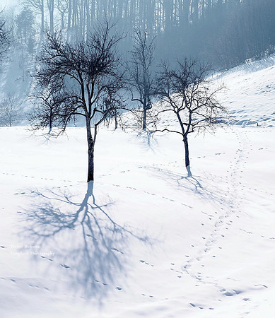 Gmundnerberg March 2018. Shadow games on the snowy slopes