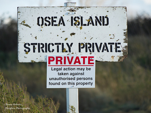 Osea Island