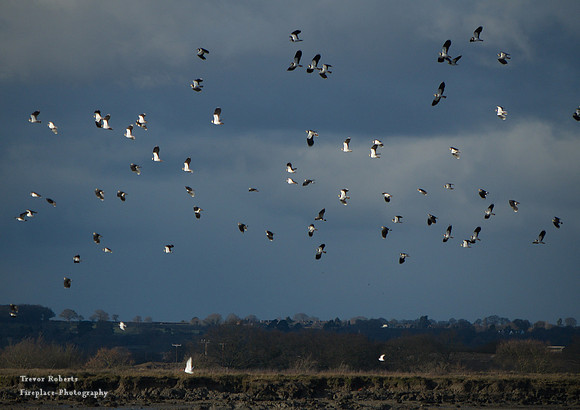Osea Island causeway