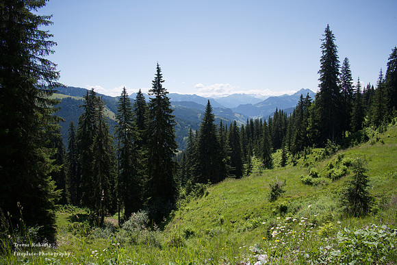 Steinbockalm