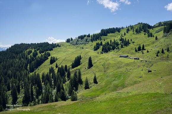 Steinbockalm to Lettenalmhütte
