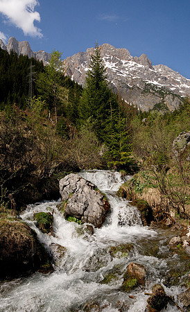 Up-stream from the Triefen