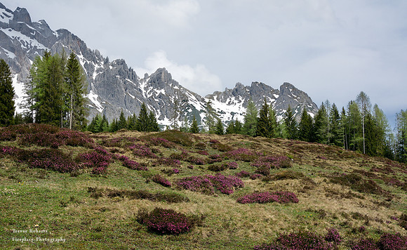 From Filzensattel towards Erichhütte