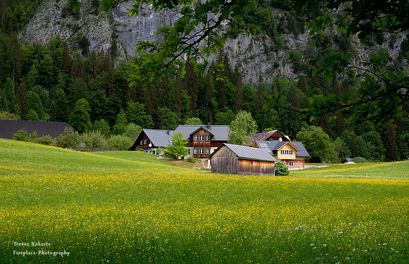 Flowering pastures in Ausserland Gösslerwand