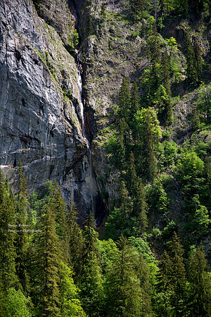 The source of the  River Traun
