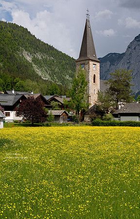 Flowering pastures in Ausserland 5
