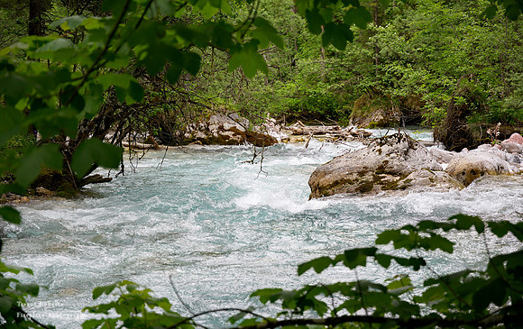 Blühnbachtal June 2018