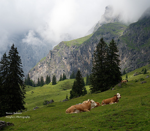 Arthurhaus to Erichhütte