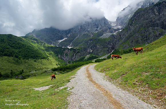 Riedingeralm waterfalls
