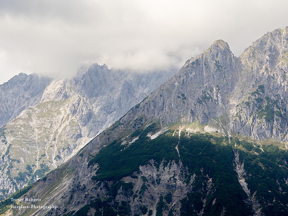 Taghaube From Schneeberg