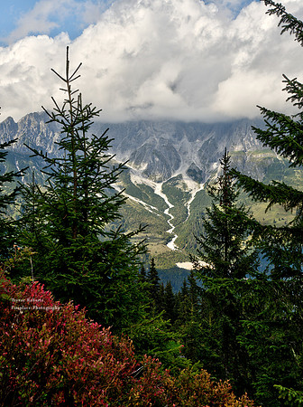 Hochkönig framed by trees from Schneeberg
