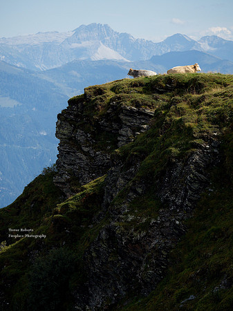 Schneeberg